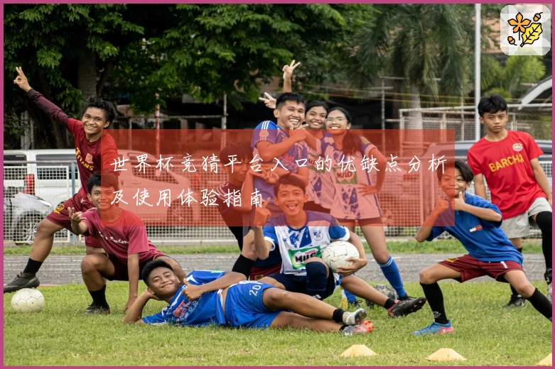 世界杯竞猜平台入口的优缺点分析及使用体验指南