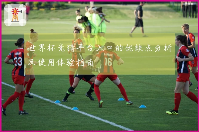 世界杯竞猜平台入口的优缺点分析及使用体验指南