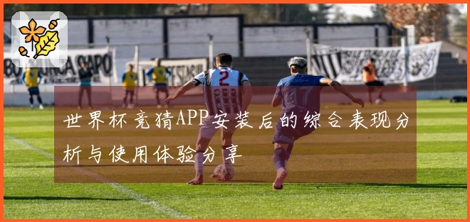 世界杯竞猜APP安装后的综合表现分析与使用体验分享