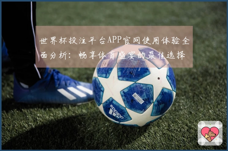 世界杯投注平台APP官网使用体验全面分析：畅享体育盛宴的最佳选择