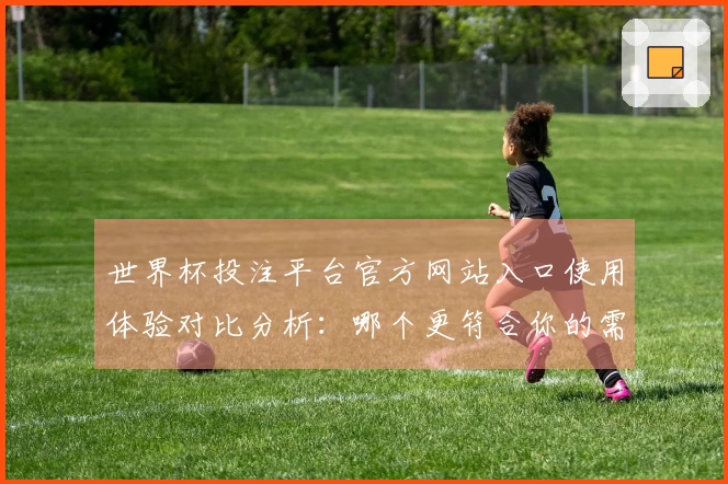 世界杯投注平台官方网站入口使用体验对比分析：哪个更符合你的需求？
