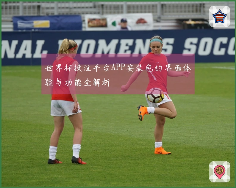 世界杯投注平台APP安装包的界面体验与功能全解析