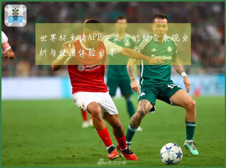 世界杯竞猜APP安装后的综合表现分析与使用体验分享
