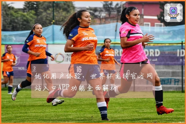 优化用户体验，世界杯竞猜官方网站入口APP功能全面解析
