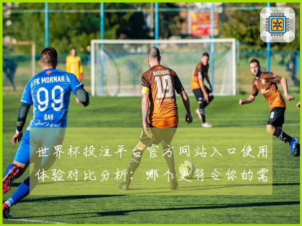 世界杯投注平台官方网站入口使用体验对比分析：哪个更符合你的需求？